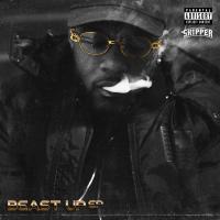 Artwork for Beast Up by Skipper