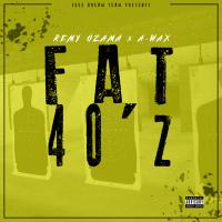 Artwork for Fat 40'z by Remy Ozama