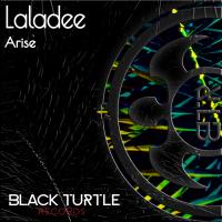 Artwork for Arise by Laladee