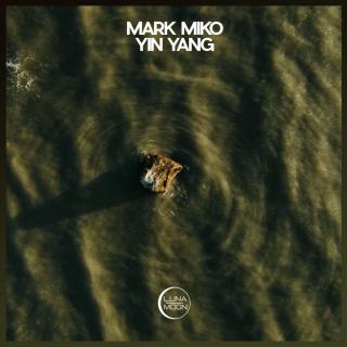 Artwork for Yin Yang