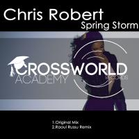 Artwork for Spring Storm by Chris Robert