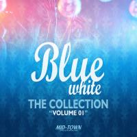 Artwork for Blue White Collection, Vol. 1 by Various Artists