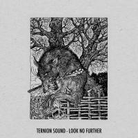 Artwork for Look No Further by Ternion Sound