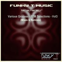 Artwork for Various Grooves: FTM Selections, Vol. 3 (Mixes & Remixes) by Dj Funky T