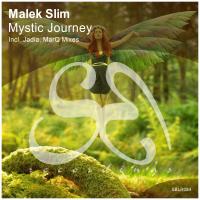 Artwork for Mystic Journey by Malek Slim