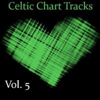 Artwork for Celtic Chart Tracks, Vol. 5 by The Munros