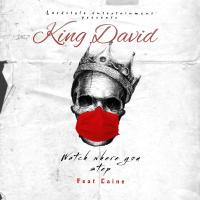 Artwork for Watch Where You Step by King David