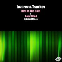Artwork for Bird In The Rain by Lazarev