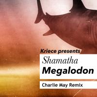 Artwork for Megalodon (Charlie May Remix) by Kriece