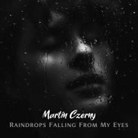 Artwork for Raindrops Falling From My Eyes by Martin Czerny