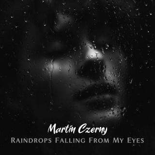 Artwork for Raindrops Falling From My Eyes