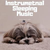 Instrumental Sleeping Music