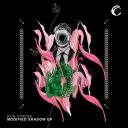 Artwork for Intimidate (Original Mix)