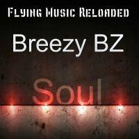 Artwork for Soul by Breezy BZ