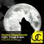 Artwork for Night Things (Marcelo Tocco Remix)