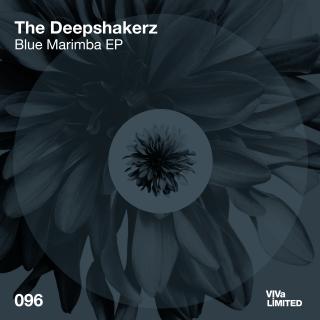 Artwork for Blue Marimba (Seb Zito Remix)