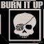 Artwork for Burn It Up (Original Mix)