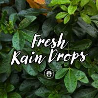 Artwork for Fresh Rain Drops by Relaxing Music Therapy