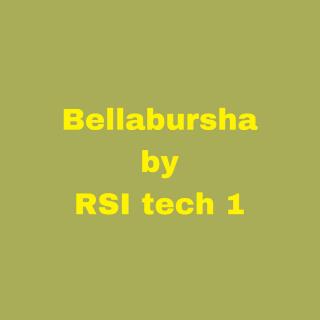 Artwork for Bellabursha 