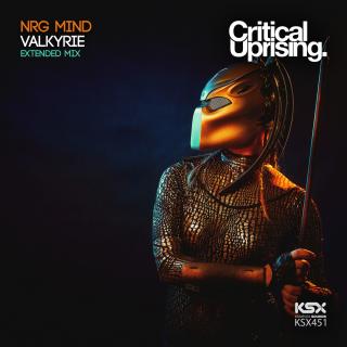Artwork for Valkyrie (Extended Mix)