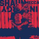 Artwork for Introduction