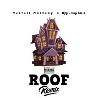 Artwork for Roof (Remix) by Terrell Matheny