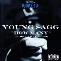 Artwork for How Many by Young Sagg