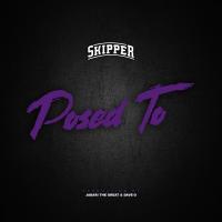 Artwork for Posed To by Skipper