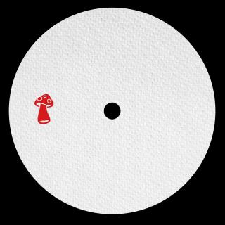 Artwork for Evolution (Extended Mix)