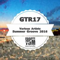 Artwork for Summer Groove 2016 by Various Artists