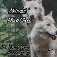Artwork for Black Sheep by Metrakit