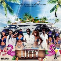 Artwork for Litty by Pomona Drey