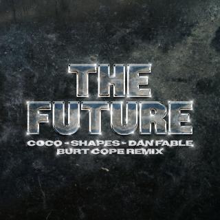 Artwork for The Future (Burt Cope Remix)