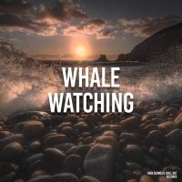 Artwork for Whale Watching by Rain Sounds Sleep