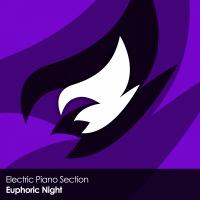Artwork for Euphoric Night by Electric Piano Section