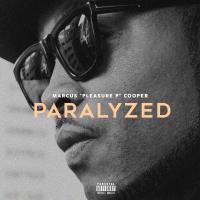 Artwork for Paralyzed by Pleasure P