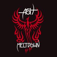 Artwork for Meltdown by Ash