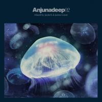 Artwork for Anjunadeep 02 by Jaytech