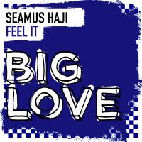 Artwork for Feel It by Seamus Haji