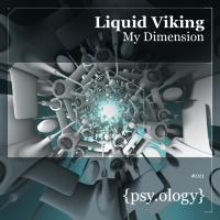 Artwork for My Dimension by Liquid Viking