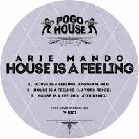 Artwork for House Is A Feeling by Arie Mando