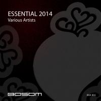 Artwork for Essential 2014 by Various Artists