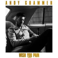 Artwork for Wish You Pain (Radio Edit) by Andy Grammer