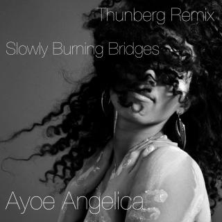 Artwork for Slowly Burning Bridges (Thunberg Remix)