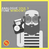 Artwork for Analogue Soul 3 by Funk Windows