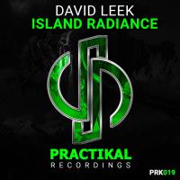 Artwork for Island Radiance by David Leek