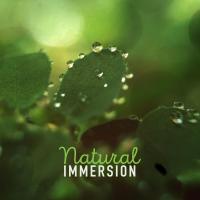 Artwork for Natural Immersion by Sounds of Nature Relaxation