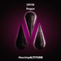 Artwork for Rogue by DRYM