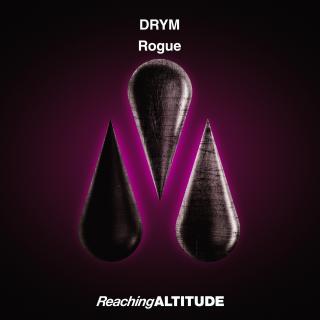 Artwork for Rogue