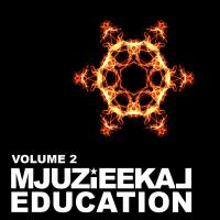 Artwork for Mjuzieekal Education Volume 2 by Various Artists